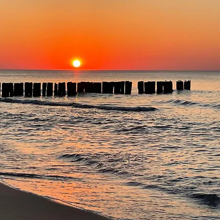 Pod Sosnami アパート サルビノボ