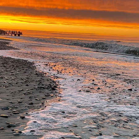 Pod Sosnami アパート *